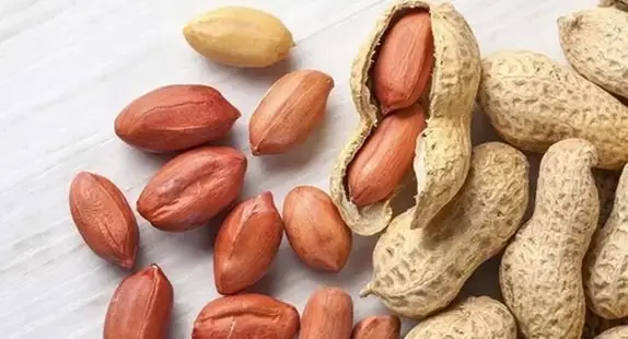 Groundnut