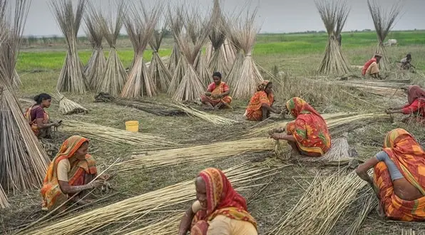 Jute Production India