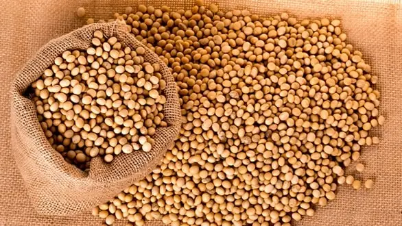 Soyabean-Production