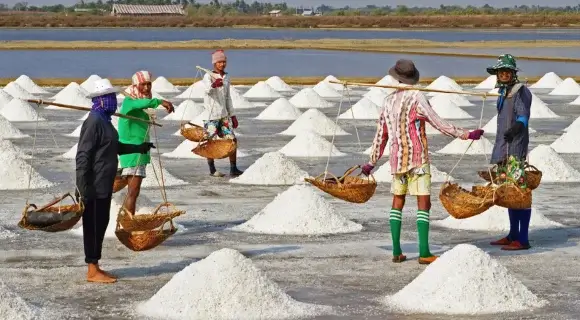 Salt 
