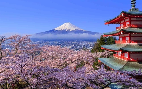Cherry Blossom Festival